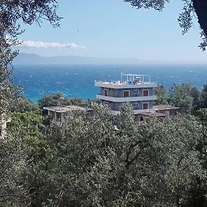 https://adrianagustin-rooms.albaniahotels.org