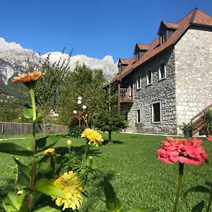 https://kompleksi-zorgji.albaniahotels.org
